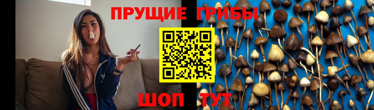 Галлюциногенные грибы Psilocybe  Псилоцибиновые грибы Magic Shrooms  Тюмень  Вход с VPN 